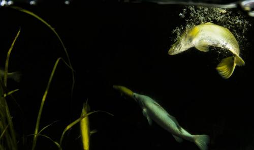 ChristianMiller_BARRA-1slider6