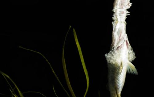 ChristianMiller_BARRA-2slider2