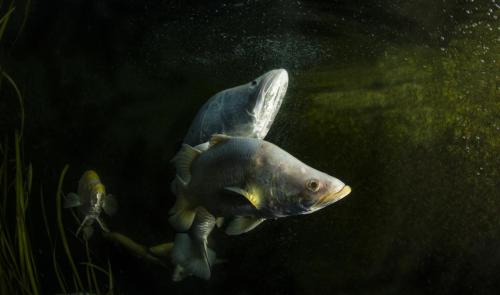 ChristianMiller_BARRA-4slider3