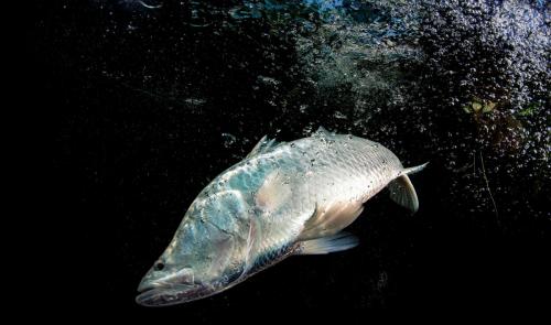 ChristianMiller_BARRA-8slider4ret